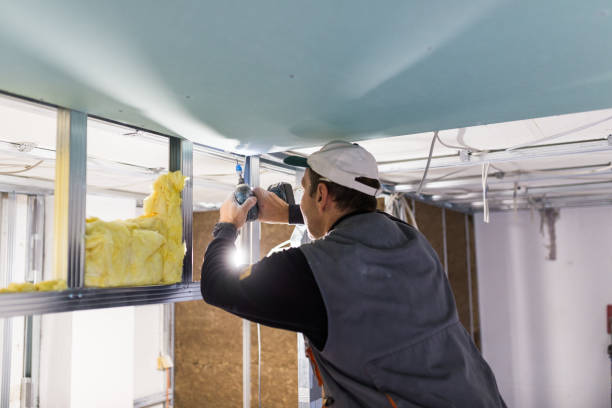 Best Insulation Maintenance and Repair in Fayette, IA